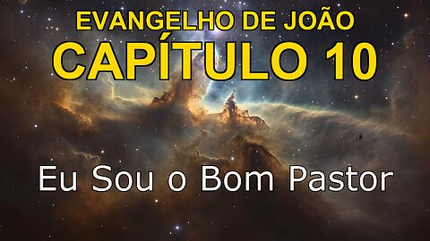 John 10 | Evangelho de John Capítulo 10 | Bible in Portuguese
