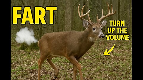 You Won’t Believe What This Big Buck Did on My Trail Cam!