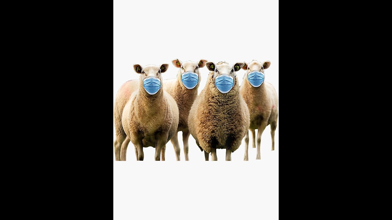 Biden's Sheep Followed The Flock Or Were Sacrificed