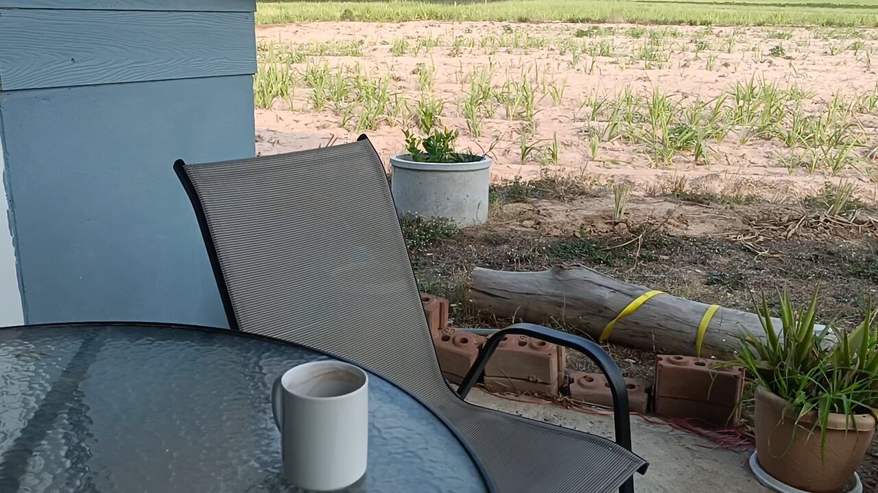 Vlog # 105 New initiatives for May