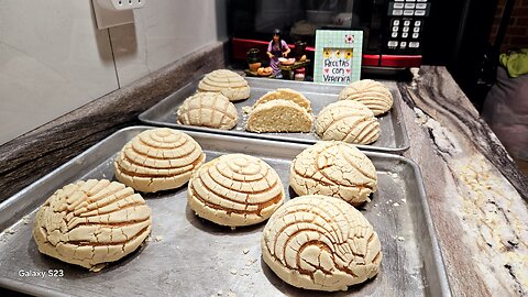 CONCHAS BLANCAS DE VAINILLA ESTILO TAPACHULA CHIAPAS