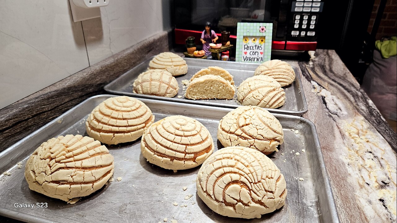 CONCHAS BLANCAS DE VAINILLA ESTILO TAPACHULA CHIAPAS