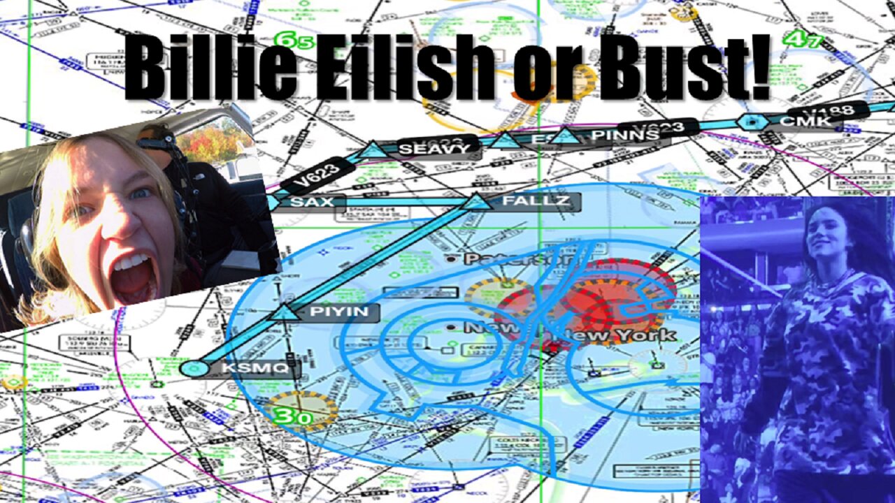 Three Presidential TFR's Not Gonna Stop Us From Billie Eilish at MSG!