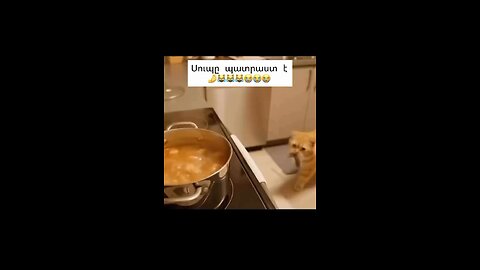 the soup is ready 🤣🤣🤣🤣
