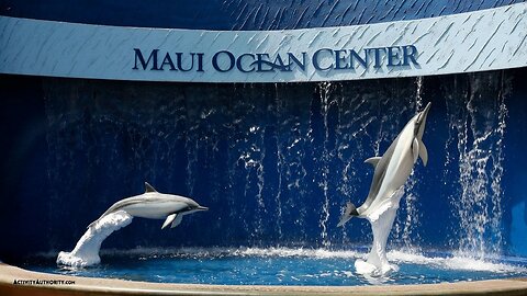 Maui Ocean Center Aquarium 2025