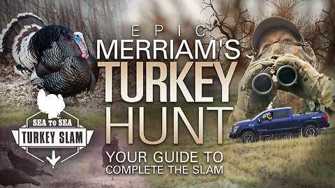 Epic Merriam’s Turkey Hunt – Your Guide to Complete the Slam