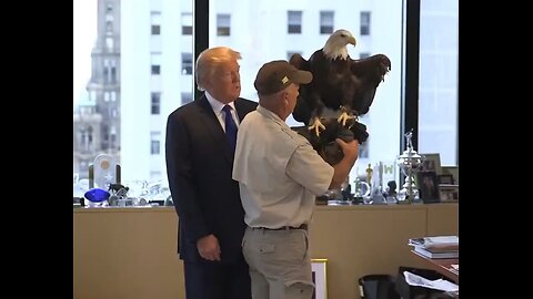 Trump Being Photographed With A Majestic Eagle For Time Magazine