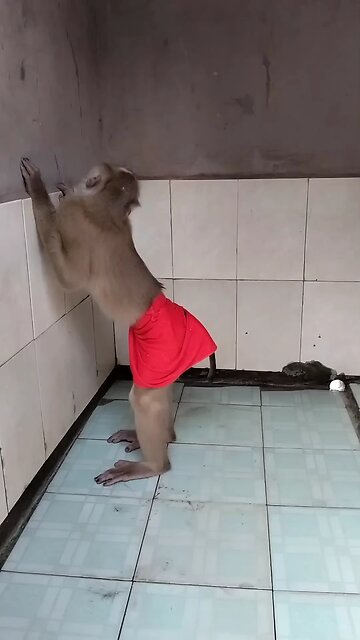 Viral video SokYaa, OG, Pao & Mom Are Famous Around The World #shorts #anime #trend #edit