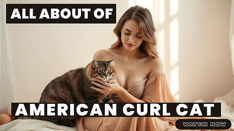All About the American Curl Cat #petcare #cutecat #cute #catlovers #petlover #pethealth 🥰😘😍