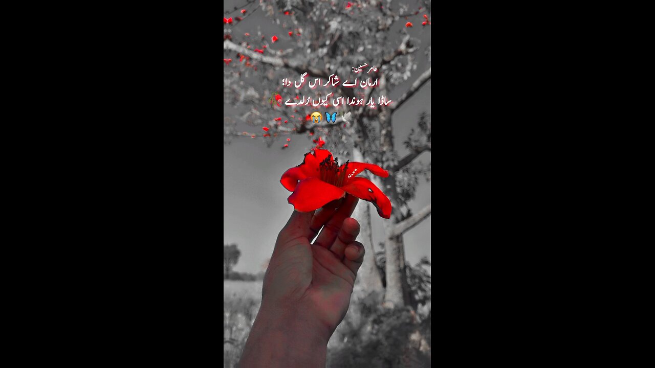 sad vibes by kainatmalik subscribe my channel 🙏🙏🙏