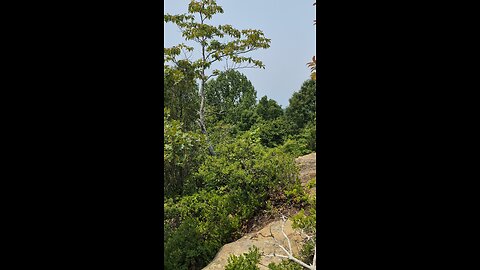 On the Edge