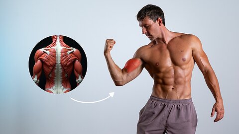 20 Min Back & Biceps Dumbell Workout At Home - Bigger Arms & Stronger Back