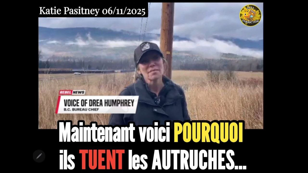 Maintenant voici POURQUOI ils TUENT les autruches...