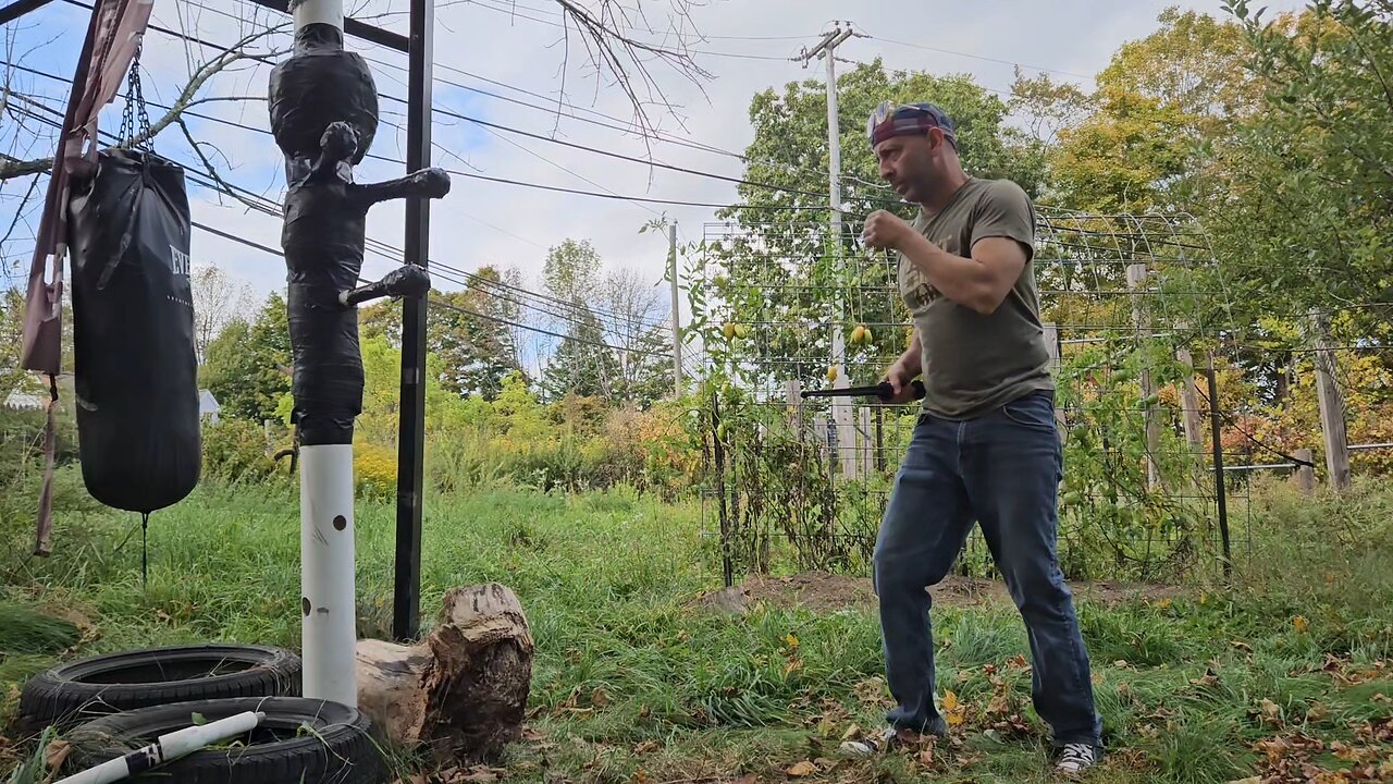 Dagger Postures and Attack