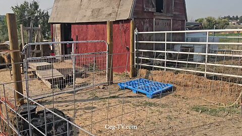 Graham Family Farm NW: 10:00 AM September 3 2025