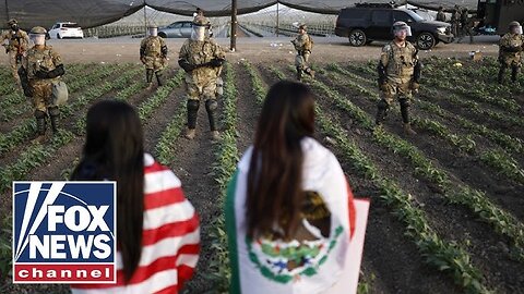 Border chief rips Dems' ICE resistance after pot farm raid: 'This is what you get!'