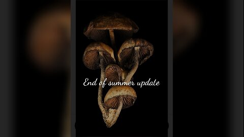 End Of Summer Update (2025)