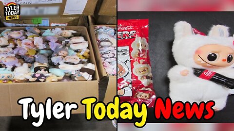 Over 500,000 dollars worth of fake Labubu dolls seized at the northern border