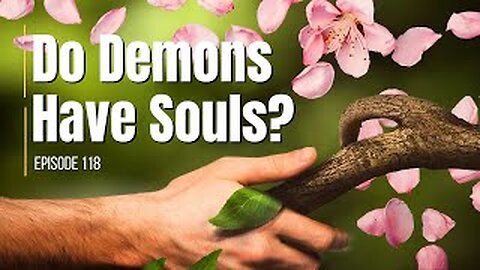 118: Do Demons Have Souls?- The Nth Degree