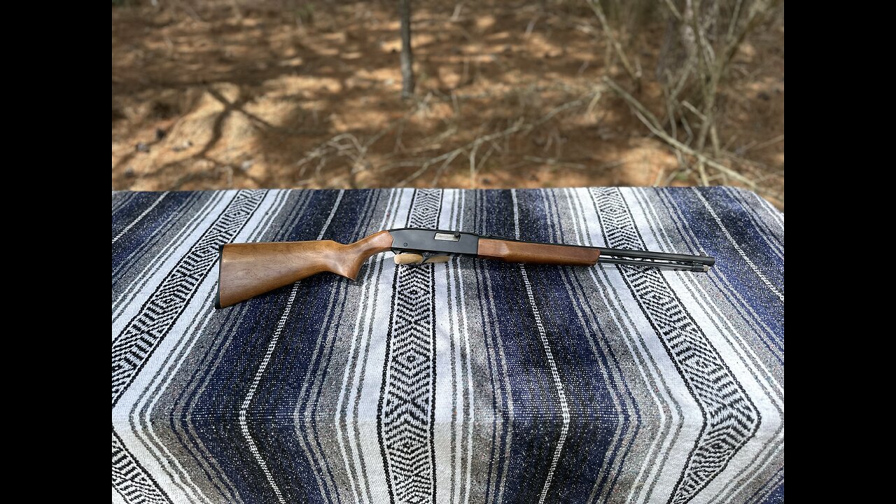 Winchester Model 190 .22 rim fire