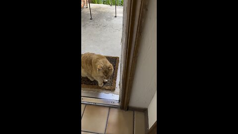 Hi!