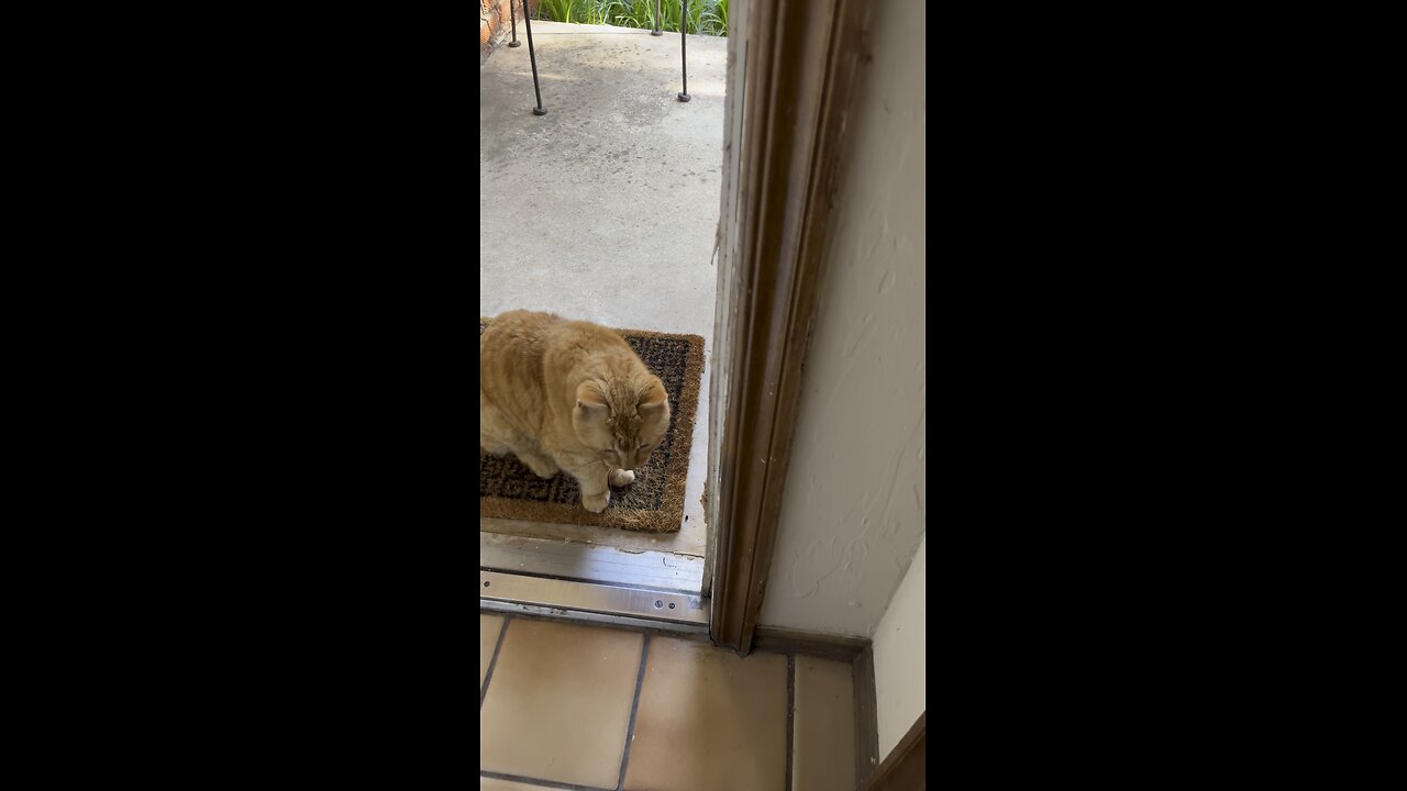 Hi!