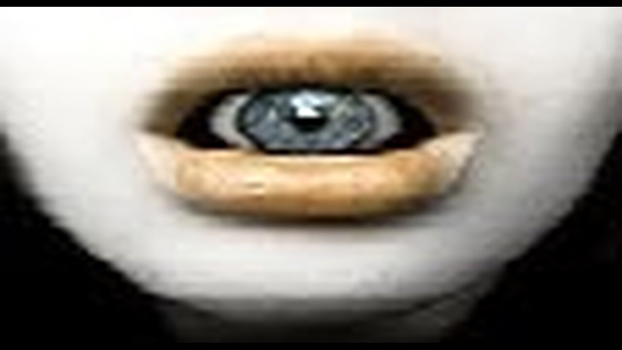 Sycamore Cyber Seed #2 by Craig A. Falconer 🎧📖 Audiobook