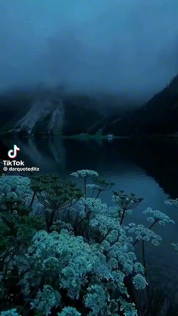 Silence speaks louder than words