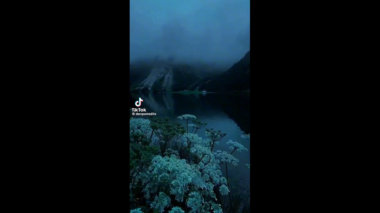 Silence speaks louder than words