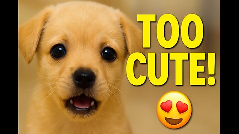 🐶 Cute Puppy Trying to Bark – Too Adorable to Handle! 🐾❤️