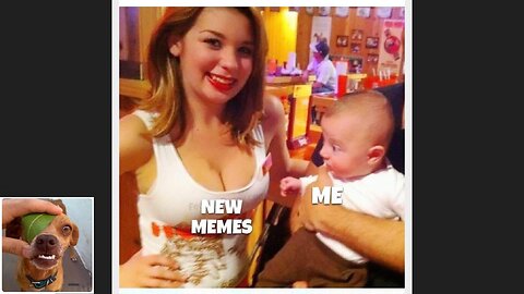 Memes That Will 99.0511% Make You Laugh. (e735)