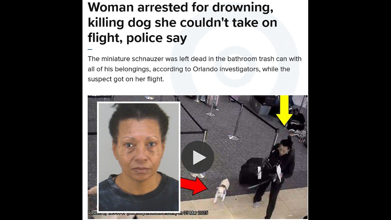 Woman arrested for drowning, killing dog she couldn't take on flight, police say