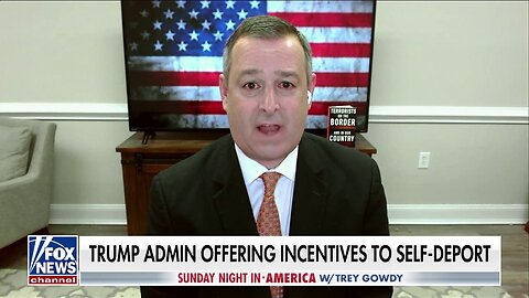 Sanctuary city policies 'fly in the face' of common sense, argues former DHS senior advisor