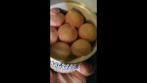 Vienna Sausage w Chocolate