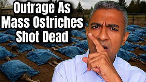 Mass Outrage as 300 'Healthy' Ostriches Executed by Firing Squad After Bird Flu Ruling in Canada