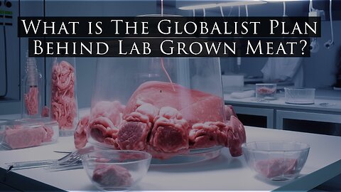 What is The Globalist Plan Behind Lab Grown Meat?