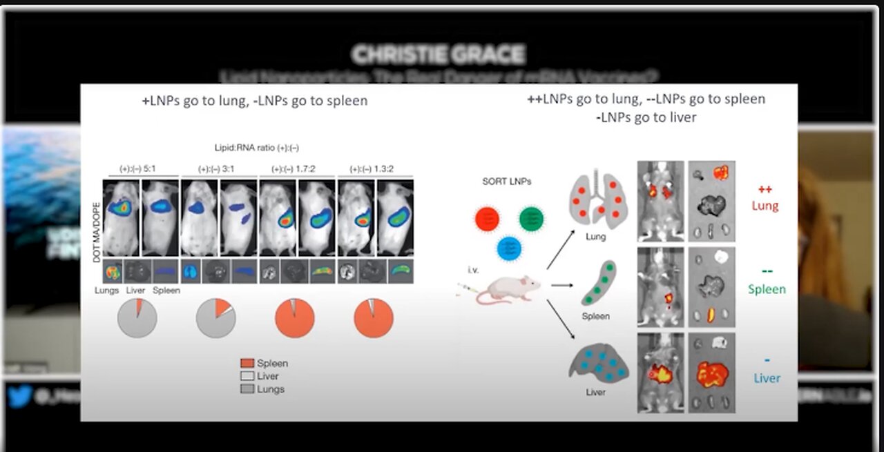 Lipid Nanoparticles | LNP Concentration in Organs