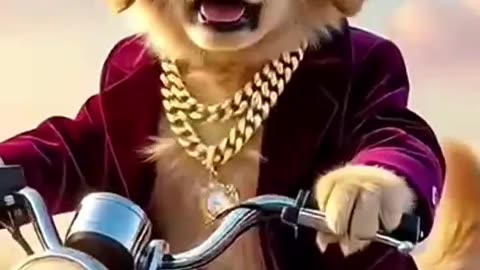 #aicat #aipuppy#aicat#catshorts#cat#catvideos#funny#cute