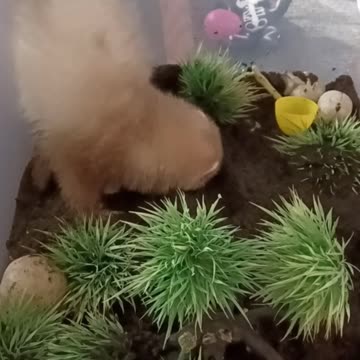 Flashback to baby Romeo!!