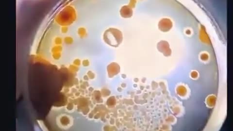 Wi-Fi May Be Supercharging Toxic Mold In Your Home.