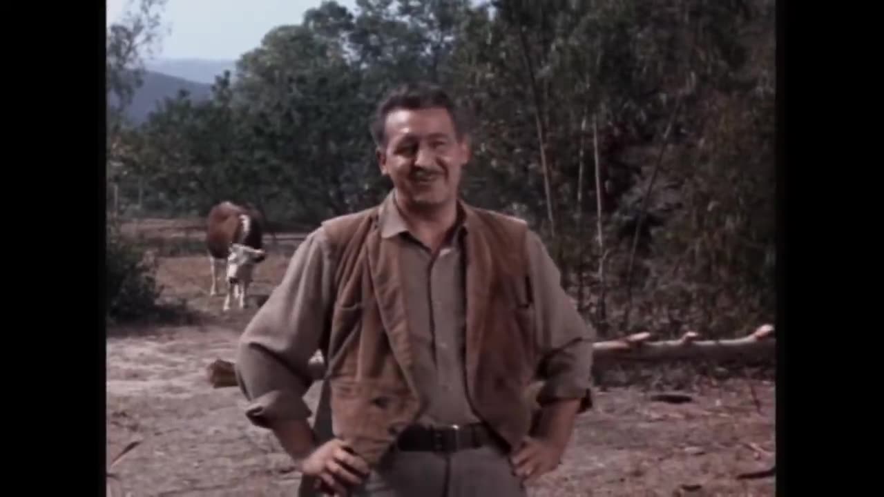 Bonanza - The Auld Sod