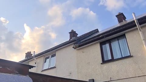 🛸🤯 Mysterious Black Ring UFO Spotted in Northern Ireland! | TheTruthAbove
