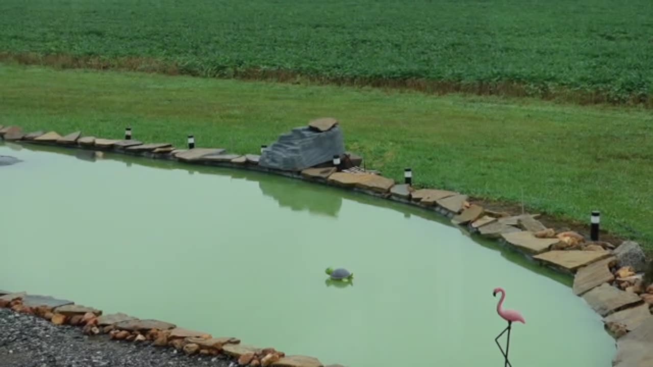 New Way Of Filling The Pond & GenStone On Outside/Porch Bath Wall.
