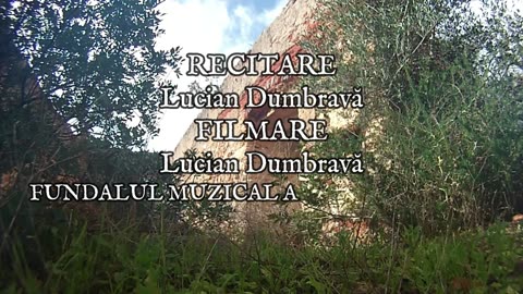 George Bacovia - Singur