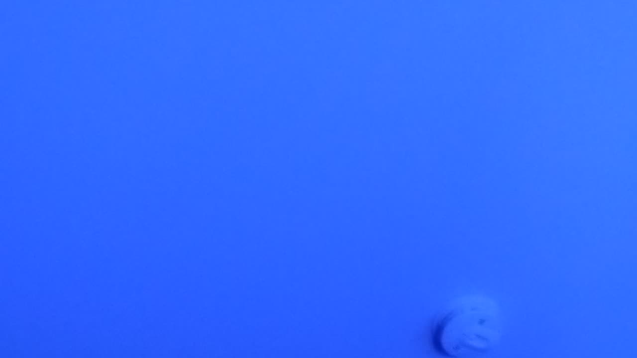 Shia, video recorded 1:55 AM Oct 26, '25 by Alyssa