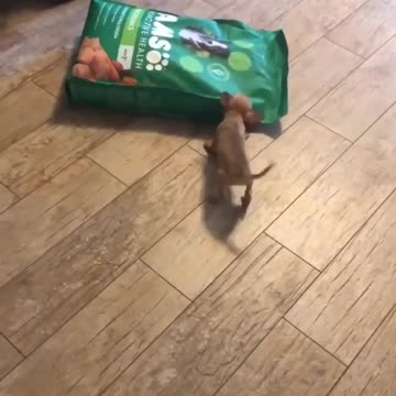 This is the exit from the Pyaterochka store on New Year's Eve