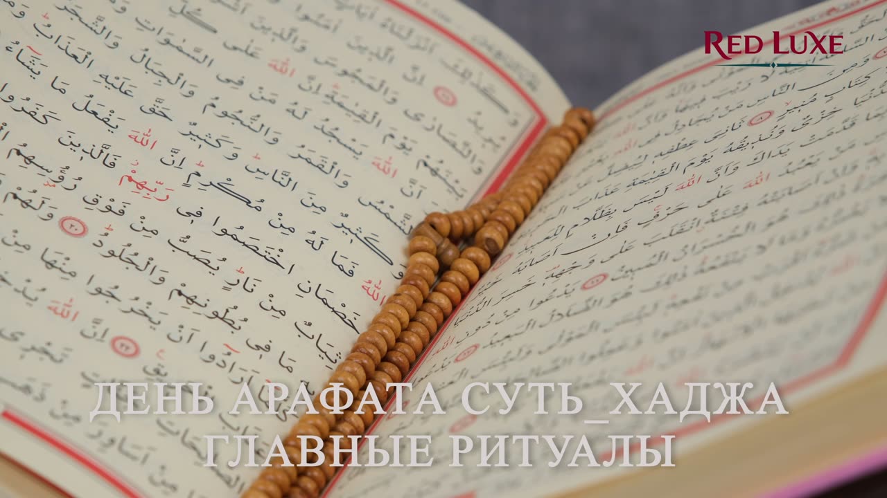 День Арафата Суть Хаджа. Red Luxe — умра круглый год: маршруты по Саудовской Аравии, сопровождение.