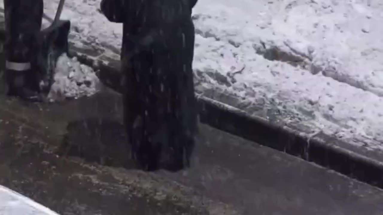 Grandma thanked the janitor with pies for snow removal