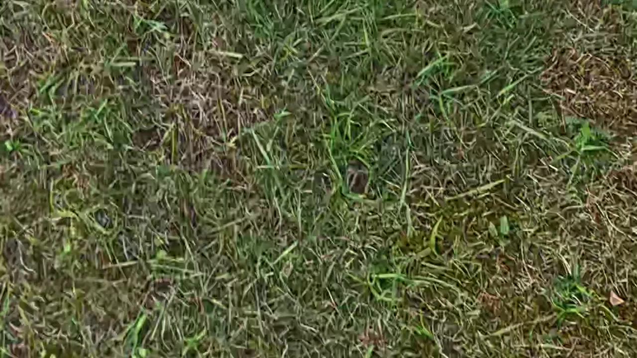 IstotaZycia - Letni deszcz 🌧️⛈️🌦️☀️