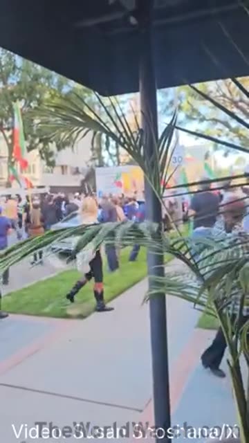 A U-Haul truck PLOWED THROUGH an anti-Islamic regime protestor in Los Angeles